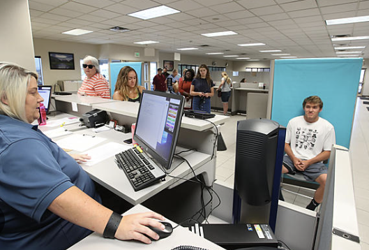 како купити возачку дозволу